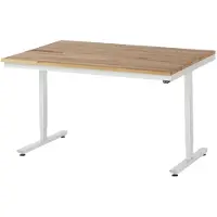 RAU Arbeitstisch 1500x1000x720-1120 elektrisch B-Platte 25mm l.gr
