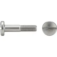 F. REYHER Nchfg. GmbH & Co. KG Flachkopfschraube ISO 1580 m.Schlitz M 2 x 6 A 4