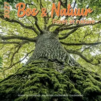 Plenty Gifts Wald und Natur Kalender 2027