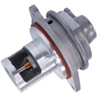 BESTPRICE AGR-Ventil [Hersteller-Nr. 31479332] für Smart