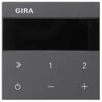 Gira Bedienaufs. UP-Radio IP 232228 System 55 anth.