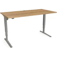 Stier Elektrisch höhenverstellbarer Schreibtisch 501-43 160 x 80cm Nussbaum