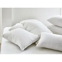 Yumeko Kopfkissen Kapok 50x60 Wit - Eco, Bio & Fairtrade