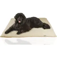 Silvio Design Rohrschneider RS 22333 Kuschelbett Cozy Cord – Wendekissen mit Reißverschluss GR.4 Beige