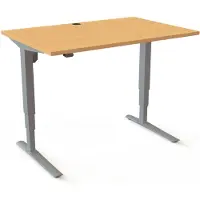 Stier Elektrisch höhenverstellbarer Schreibtisch 501-43 120 x 80cm Buche mel. 65-125cm