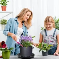 Markenlos Pflanzen-Wasserwanne Auslaufsicher Atmungsaktiv Überlaufgeschützt | Runde Tropfschalen Innenbereich Balkon Gewächshaus Keimung Garten Rasen Blumenbeet Hochbeet