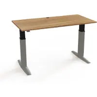 Stier Elektrisch höhenverstellbarer Schreibtisch 501-23 160 x 80cm Nussbaum/Silber melaminbeschichtet 68-120cm