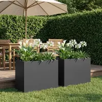Prolenta Maison Exclusive - Garten-Pflanzgefäß 2 stk. Schwarz 60 x 30 x 40 cm