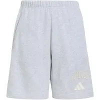 Adidas Seasonals Collegiate Typography Kurze Hose