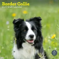 Baker & Bray Border Collie Kalender 2027