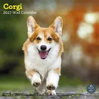 Baker & Bray Welsh-Corgi-Kalender 2027