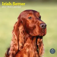 Baker & Bray Irischer Setter Kalender 2027