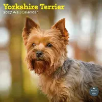 Baker & Bray Yorkshire Terrier Kalender 2027