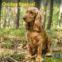 Baker & Bray Englischer Cocker Spaniel Kalender 2027
