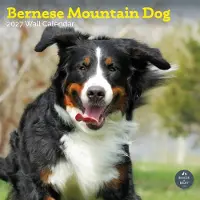Baker & Bray Berner Sennenhund Kalender 2027