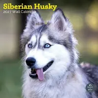 Baker & Bray Siberische Husky Kalender 2027