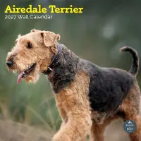 Baker & Bray Airedale Terrier Kalender 2027