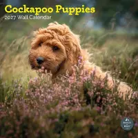 Baker & Bray Cockapoo Welpen Kalender 2027