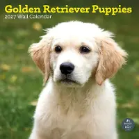 Baker & Bray Golden Retriever Welpen Kalender 2027