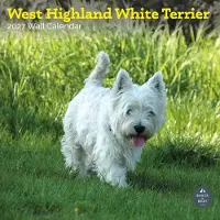 Baker & Bray West Highland White Terrier Kalender 2027