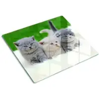 Tulup GLASPLATTE 60x52 cm Drei Katzen Decke