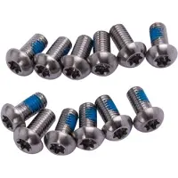 Sram Scheibenschraubensatz Titane T25