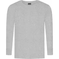 Promodoro Men's Premium-T Long Sleeve