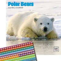 Dayplanner Eisbären Kalender 2027