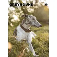 CalendarsRUs Windhund A3 Kalender 2027