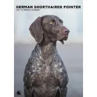 CalendarsRUs Deutscher A3-Standkalender 2027