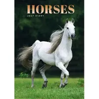 CAROUSEL CALENDARS Pferde A5-Agenda 2027
