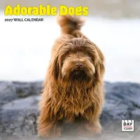 Dayplanner Wunderbare Hunde Kalender 2027