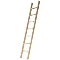 Proregal Stufenanlegeleiter fein Made in Germany | 16 Stufen | 4,3m Länge | Ohne Traverse | Fichte, Braun | Holzleiter