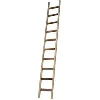 Proregal Tankleiter Made in Germany 21 Sprossen 6,08 m Länge Ohne Traverse Braun Unbehandelt Tankwagenleiter Holzleiter