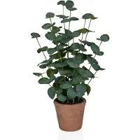 Hjh OFFICE Eucalyptus Bonsai