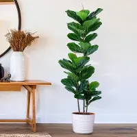 OEM Kunstficus in Pott, 152 cm, Kunstmatige Ficus, Kunstplanten in Pott für Innen und Außen