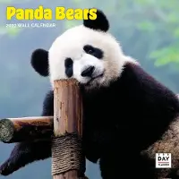 Dayplanner Panda Kalender 2027