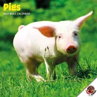 Dayplanner Schweinekalender 2027