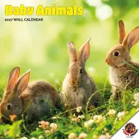 Dayplanner Babytierkalender 2027