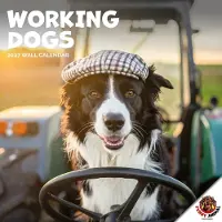 Dayplanner Hunde bei der Arbeit Kalender 2027
