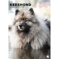 CalendarsRUs Keeshond A3‑Kalender 2027
