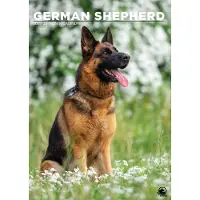 CalendarsRUs Deutscher Schäferhund A3-Kalender 2027