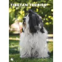 CalendarsRUs Tibet-Terrier A3 Kalender 2027