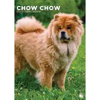 CalendarsRUs Chow Chow A3 Kalender 2027