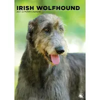 CalendarsRUs Irischer Wolfshund A3 Kalender 2027