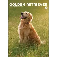 CalendarsRUs Golden Retriever A3 Kalender 2027