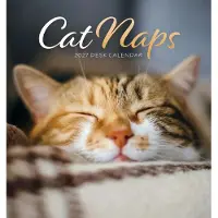 CAROUSEL CALENDARS Cat Naps Schreibtischkalender 2027