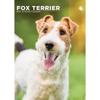 CalendarsRUs Foxterrier A3-Kalender 2027