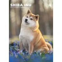CalendarsRUs Shiba Inu A3 Kalender 2027