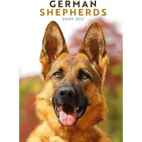 CAROUSEL CALENDARS Deutscher Schäferhund A5 Agenda 2027